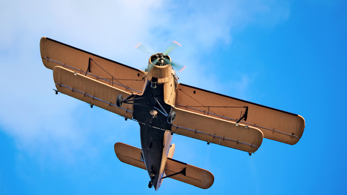 Появилось первое фото с места жесткой посадки самолета Ан-2 под Красноярском