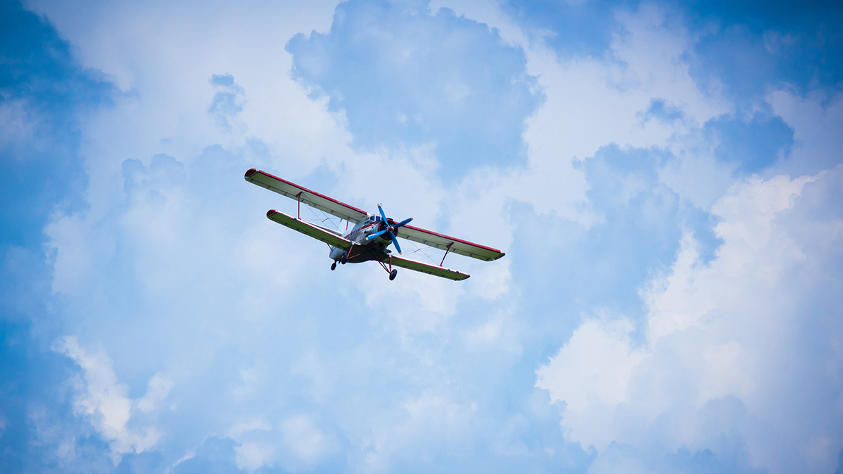 Самолет Ан-2 разбился в Подмосковье