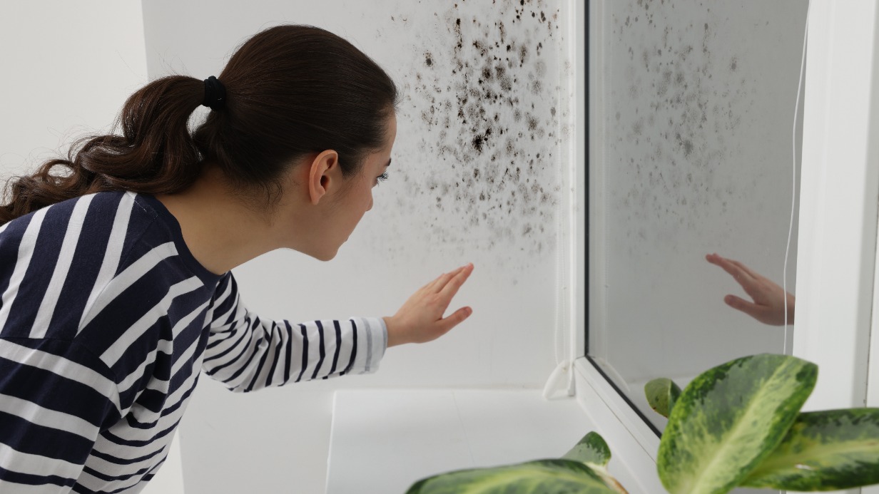 Чем плесень опасна для здоровья