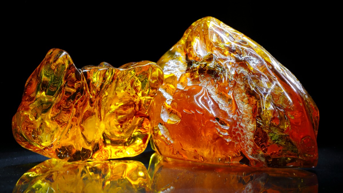 В России обнаружили рекордное количество янтарных самородков
