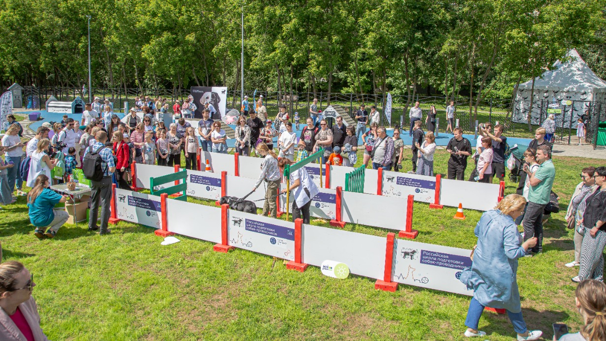 Второй цикл мероприятий «Друг, спасатель, защитник» завершится в эти выходные