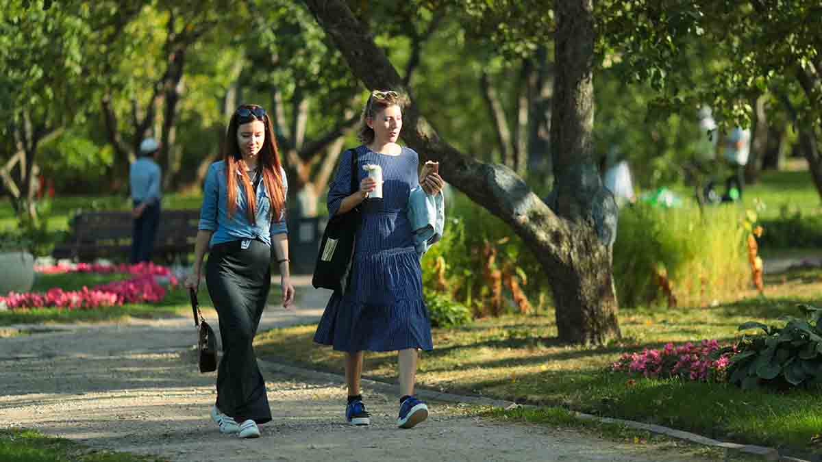 Пять видов нескучных прогулок