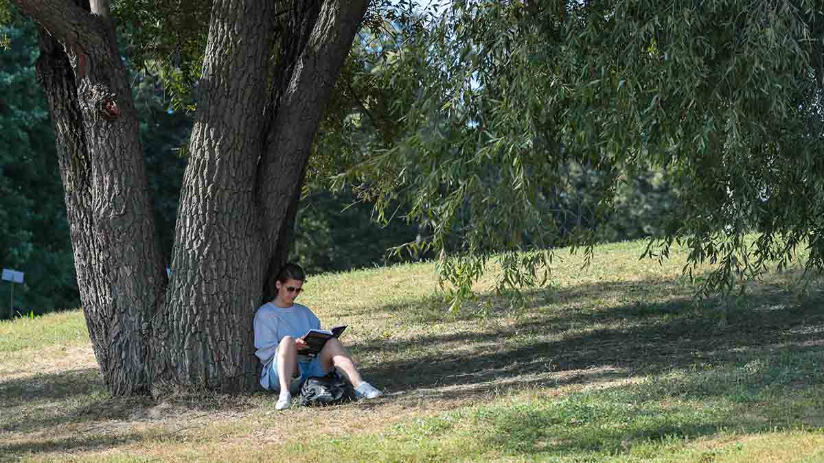 29 сентября: какой сегодня праздник отмечают