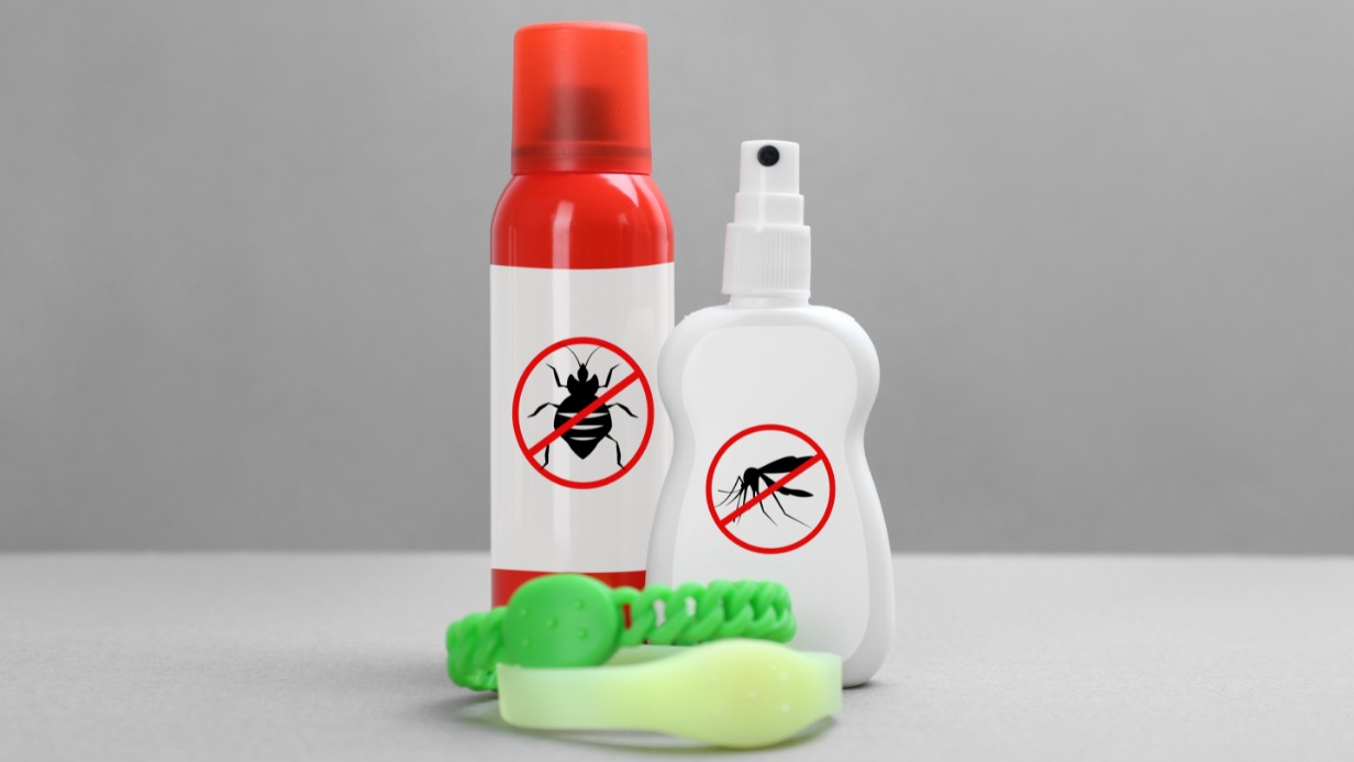 Как выбрать недорогое и эффективное средство от комаров