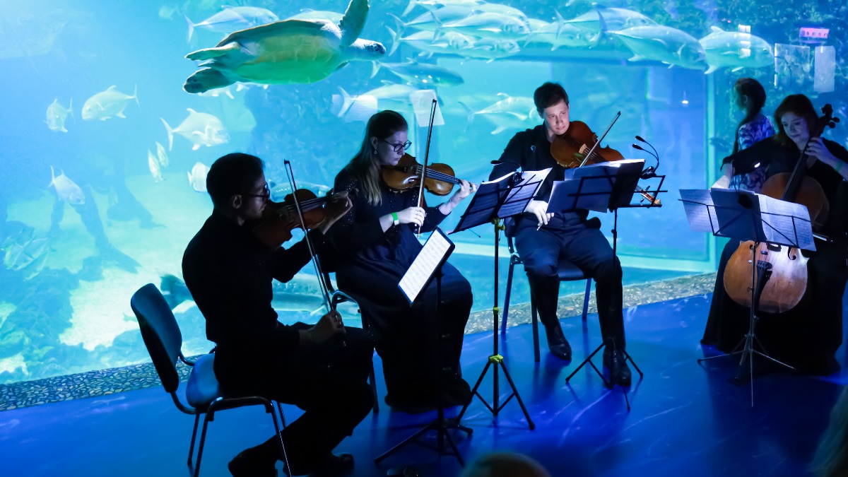 Музыкальное шоу «Ритмы океана»