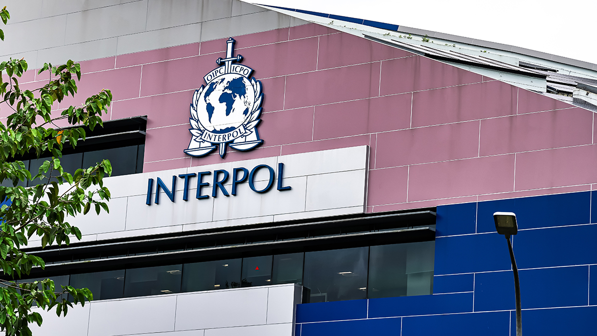 Что такое Интерпол простыми словами: чем занимается, какие имеет полномочия