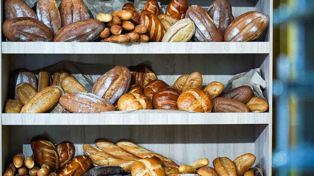 Поддержка властей позволяет расширять производства