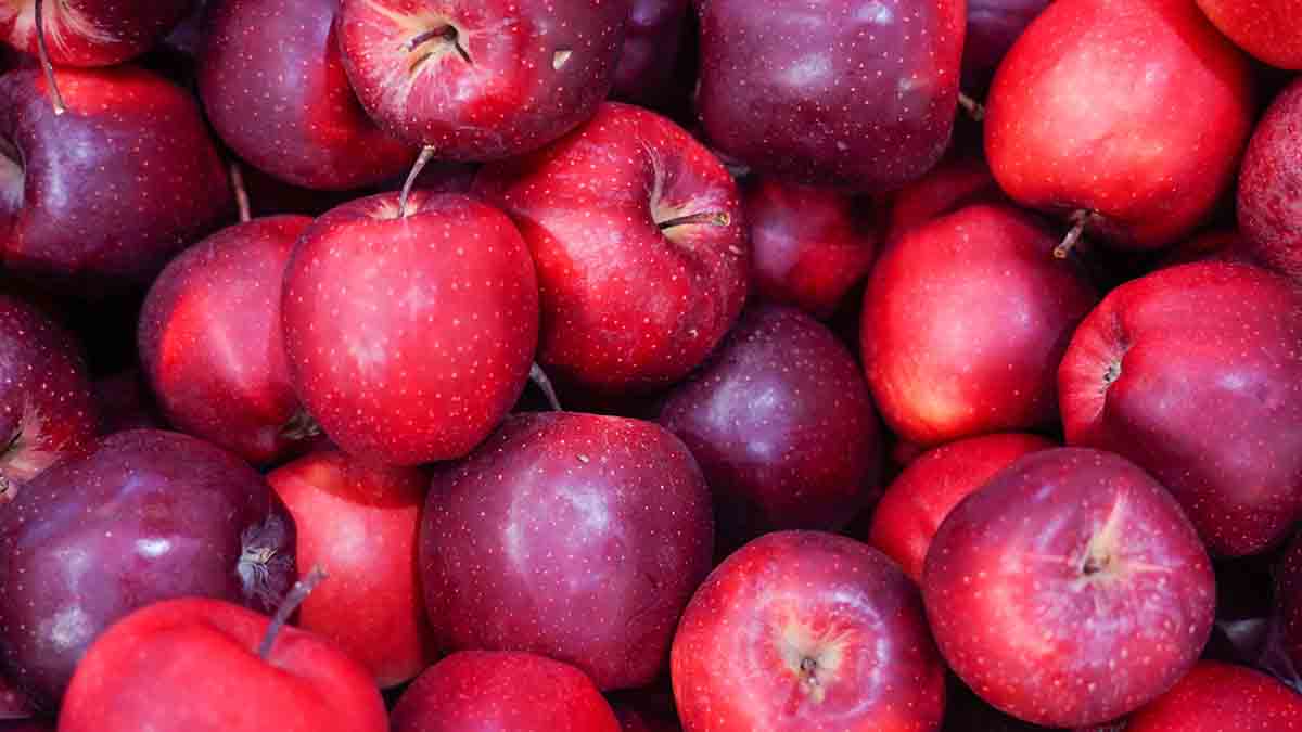 Старейшая семья в мире раскрыла секрет своего долголетия