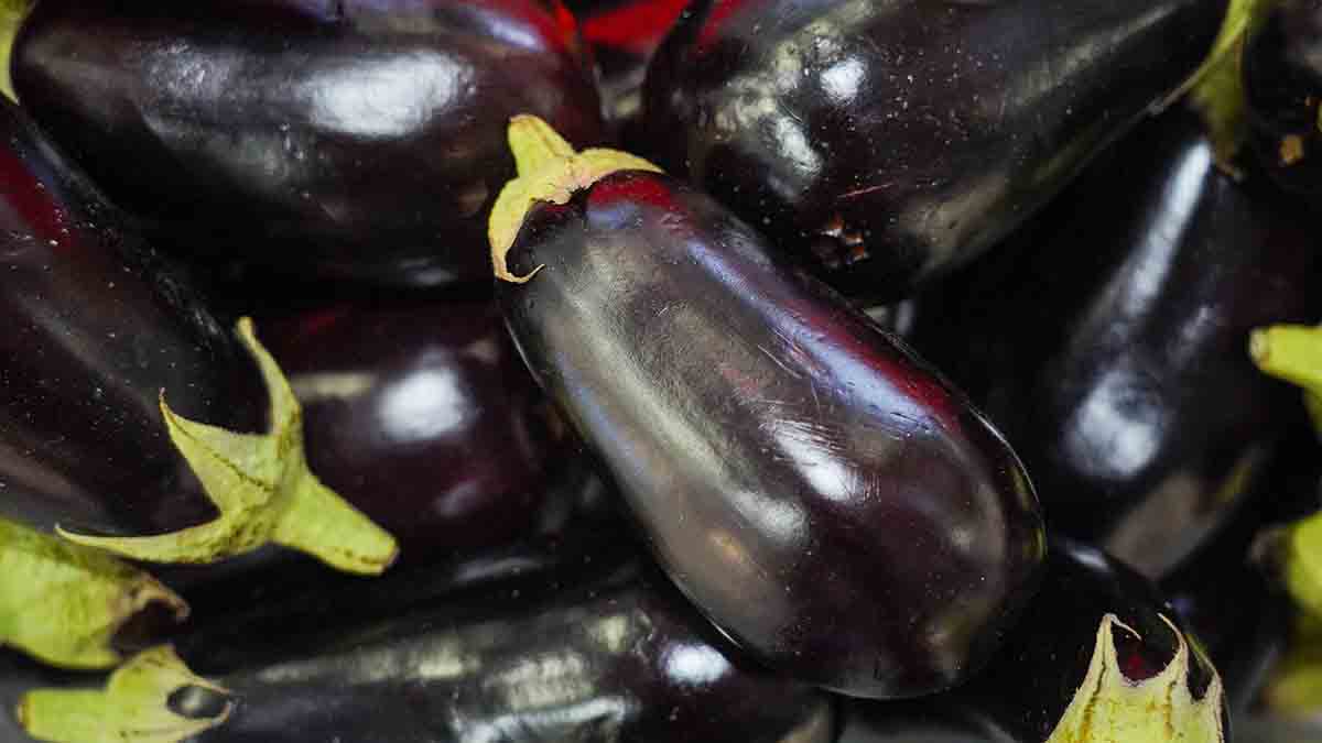 День баклажана и День конопли: какие праздники отмечают в России и мире 4 февраля