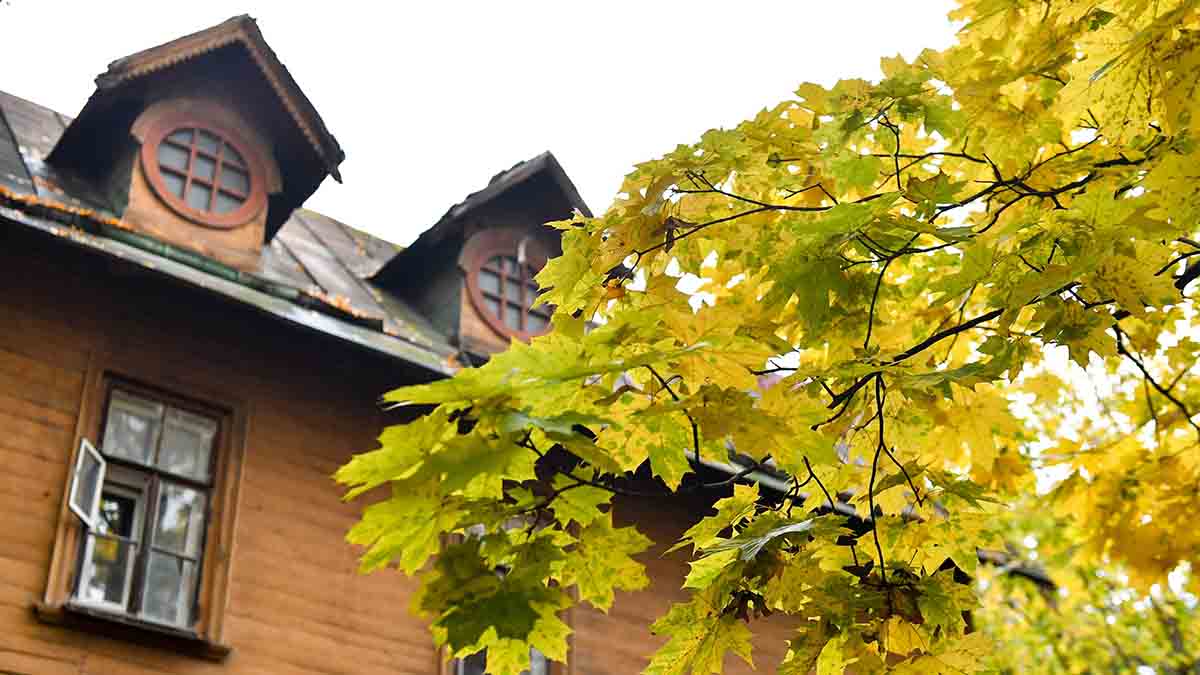 Вильфанд пообещал сентябрьскую погоду на следующей неделе в Москве