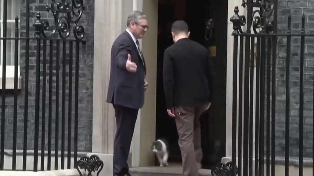 Главный кот-мышелов Британии Ларри сбежал из офиса, когда туда вошел Зеленский