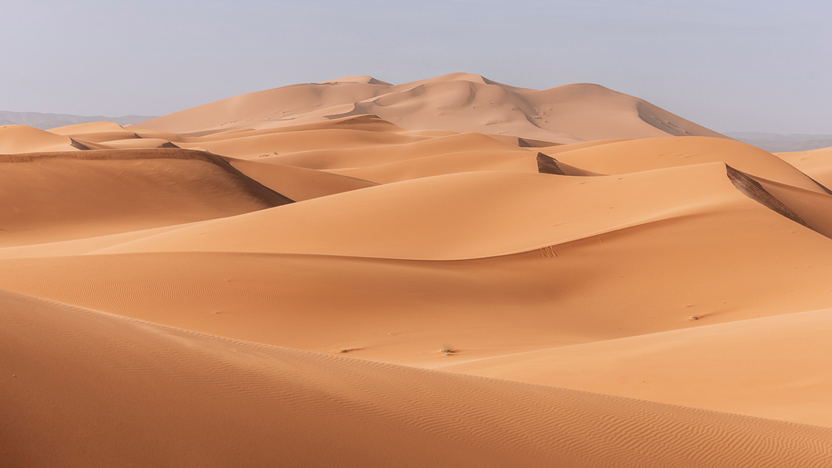 В пустыне Невады найдено 300 человеческих останков