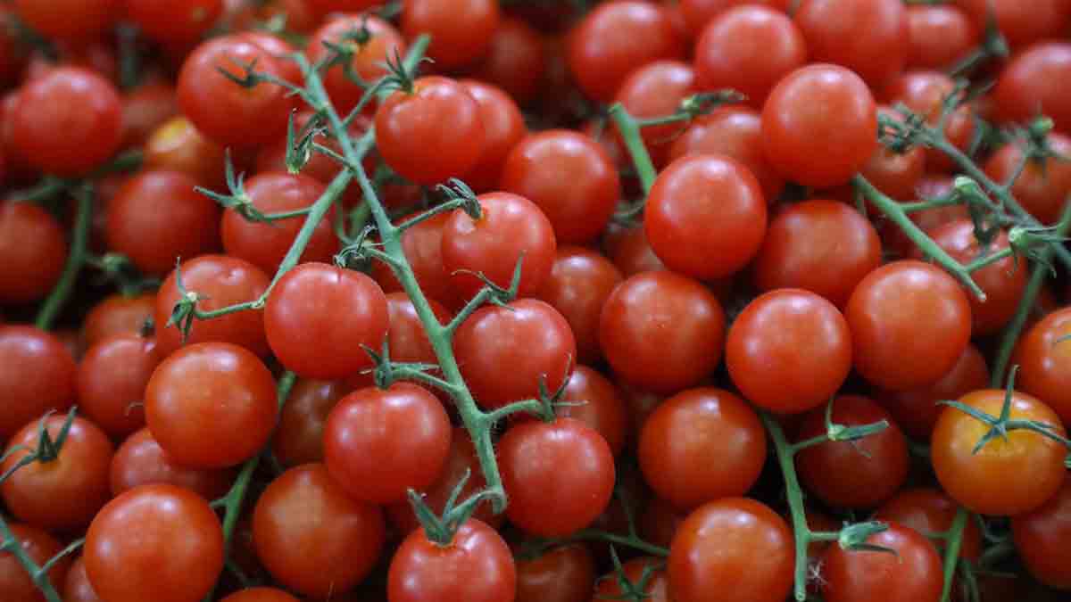 Фермер из Липецкой области помогает бойцам СВО и жителям приграничья