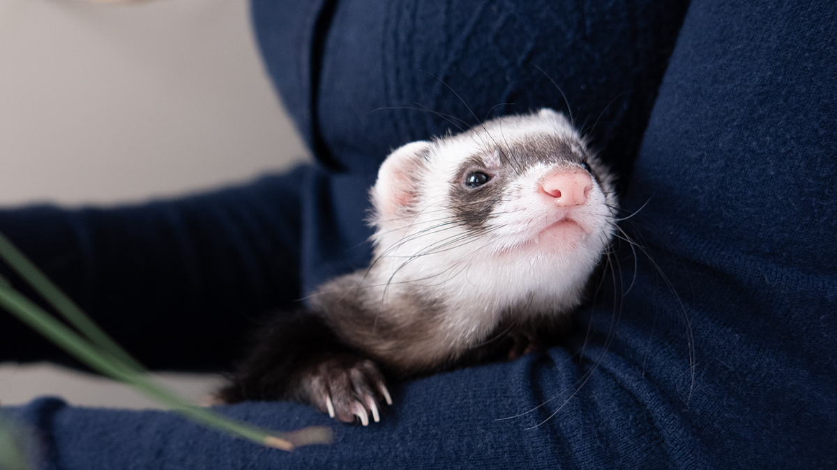 Праздники 2 апреля 2026 года