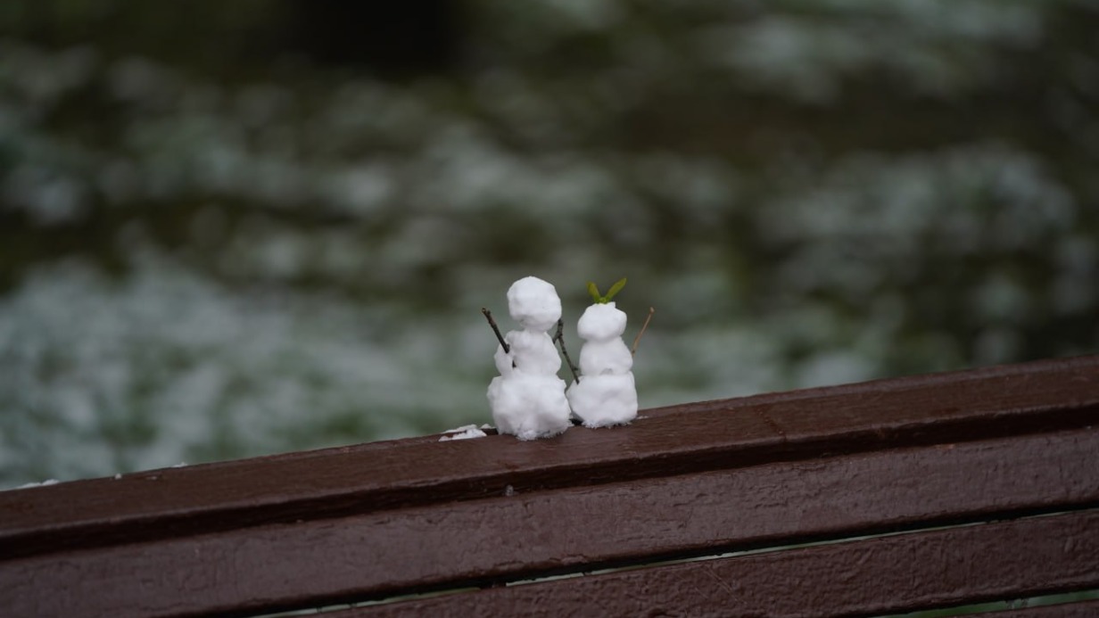 Москвичей предупредили об отрицательных температурах в ночь на 15 октября