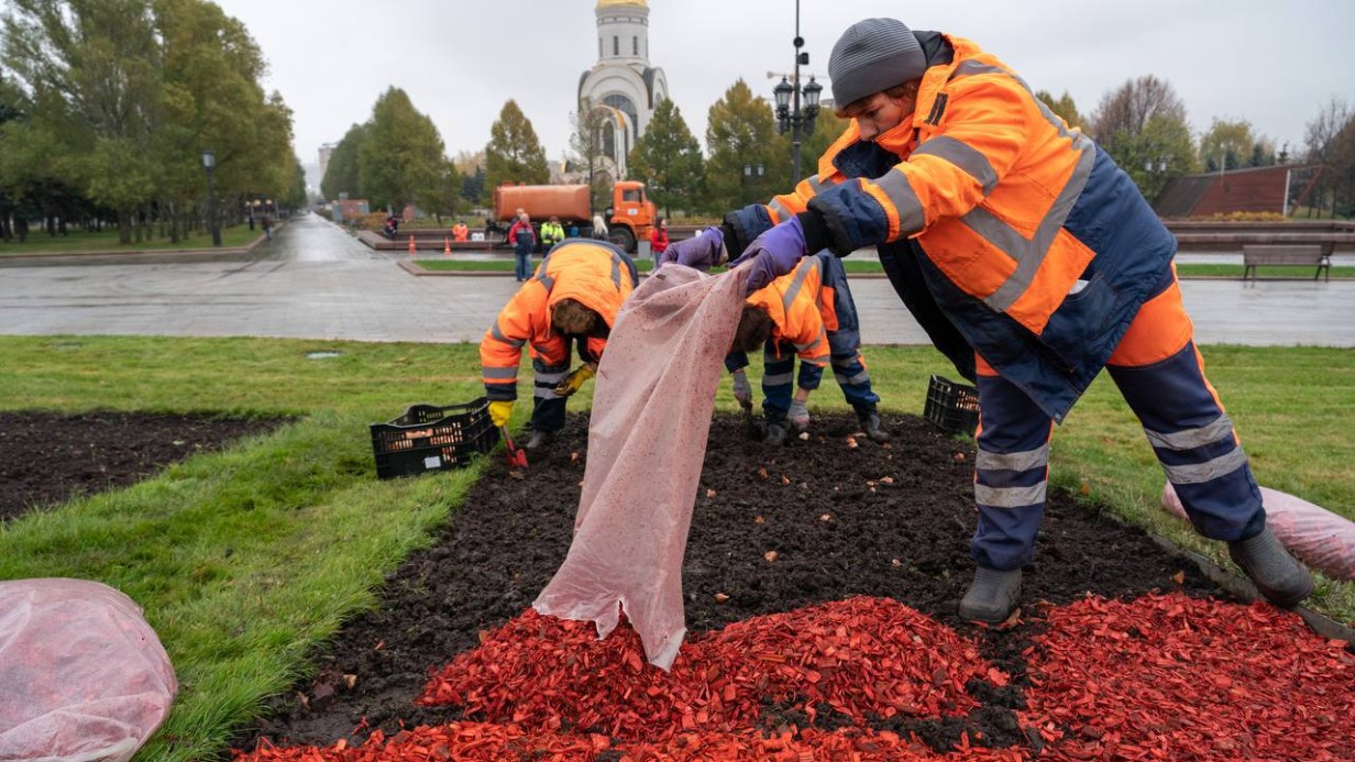 Готовить к зиме городские цветники начали в Москве