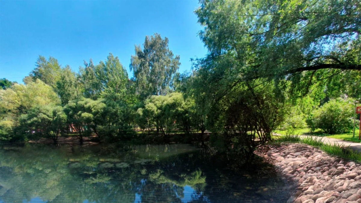 Стартовала реабилитация Ярославского пруда на северо-востоке Москвы