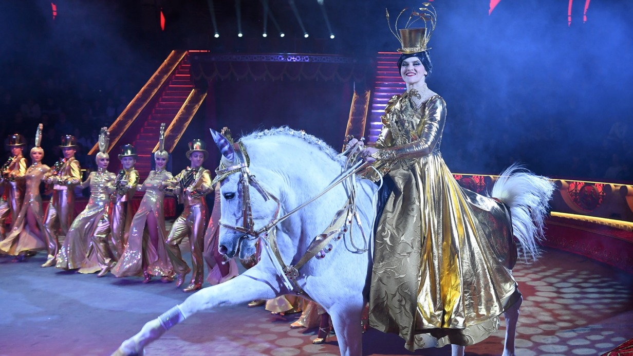 Цирковой номер высшей школы верховой езды Елены Павлович на премьере программы «Почти серьезно»