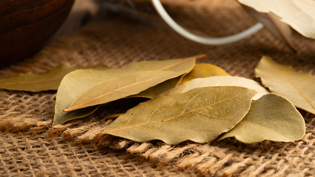 Россиянам посоветовали добавить в рацион лавровый лист для защиты от рака