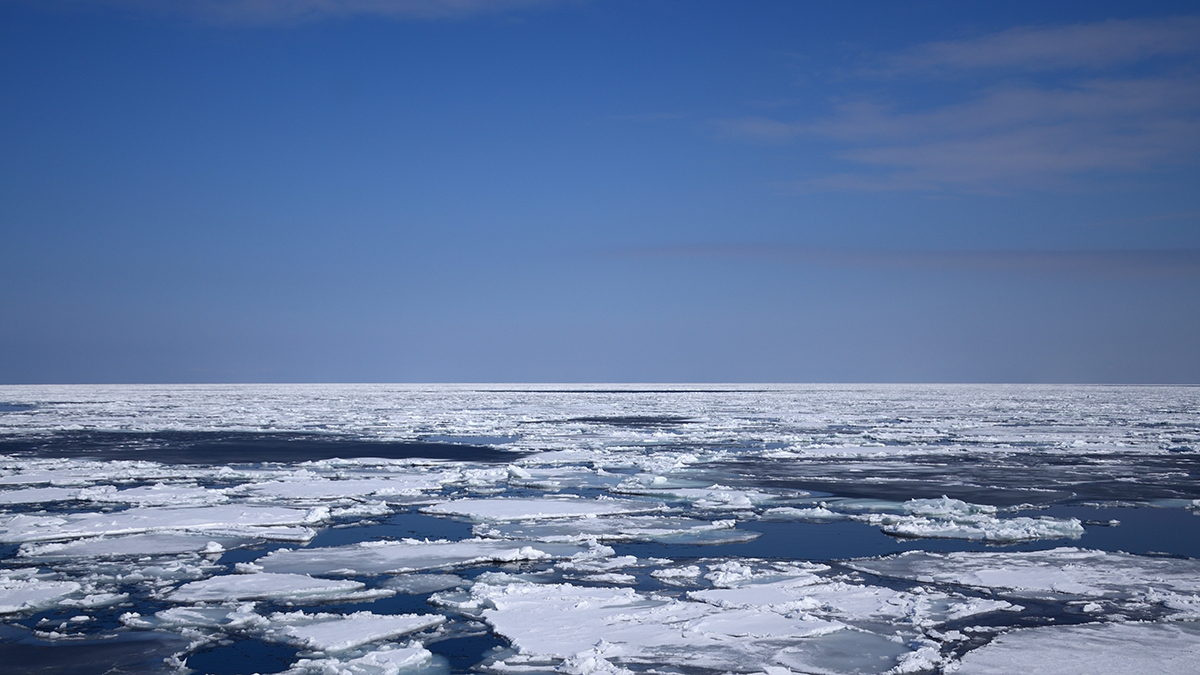 «Не уходят без улова»: рыбаки на льдине в Охотском море отказываются от спасения