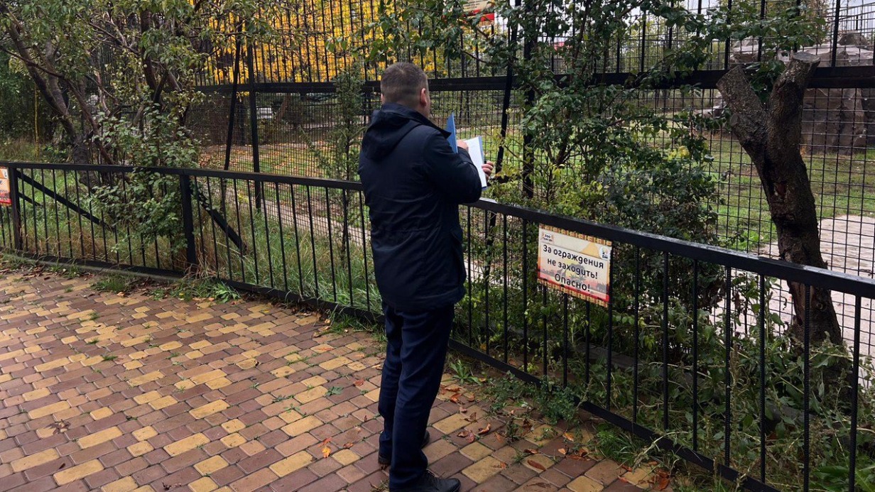 Львы растерзали сотрудницу в сафари-парке «Тайган» в Крыму: как произошло и кем была погибшая