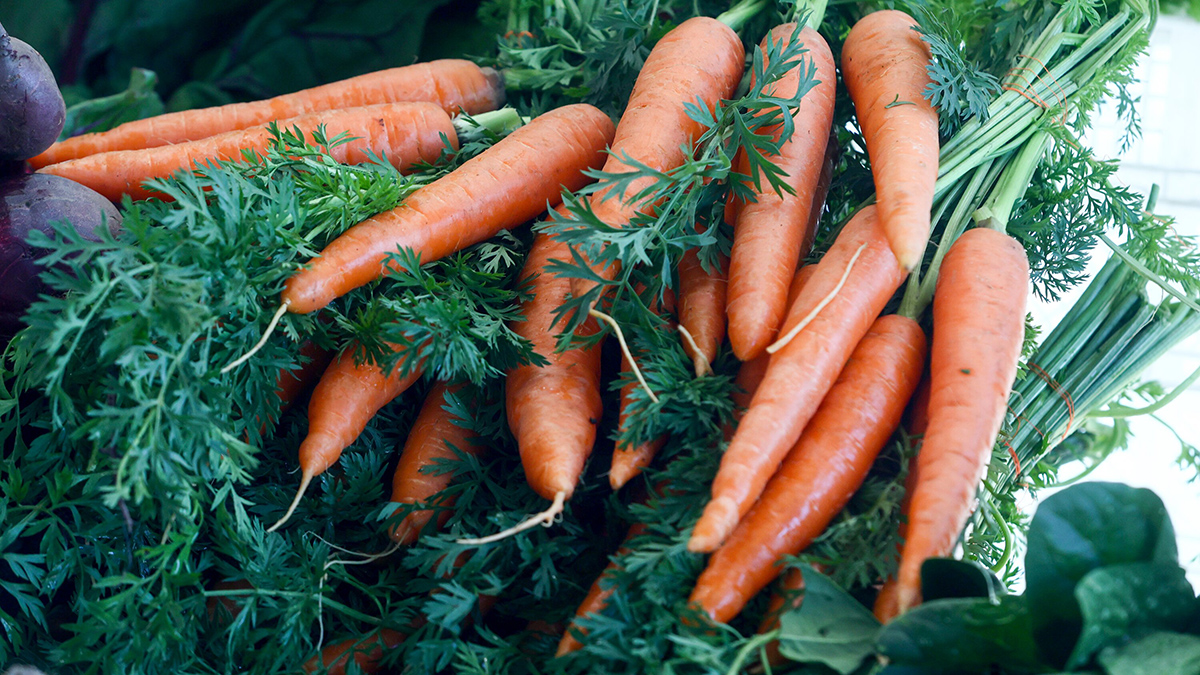 Какие продукты полезны для зрения