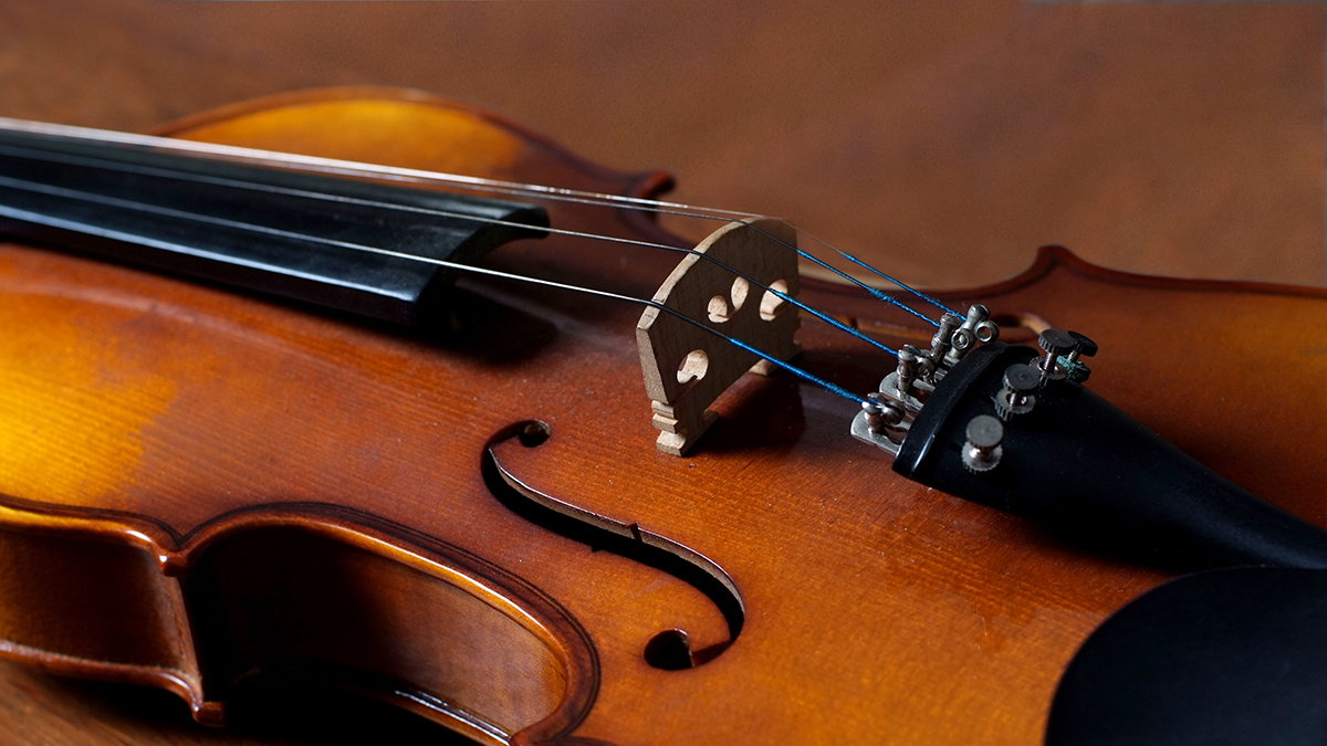 Скрипку Эйнштейна выставили на аукционе за 405 тысяч долларов