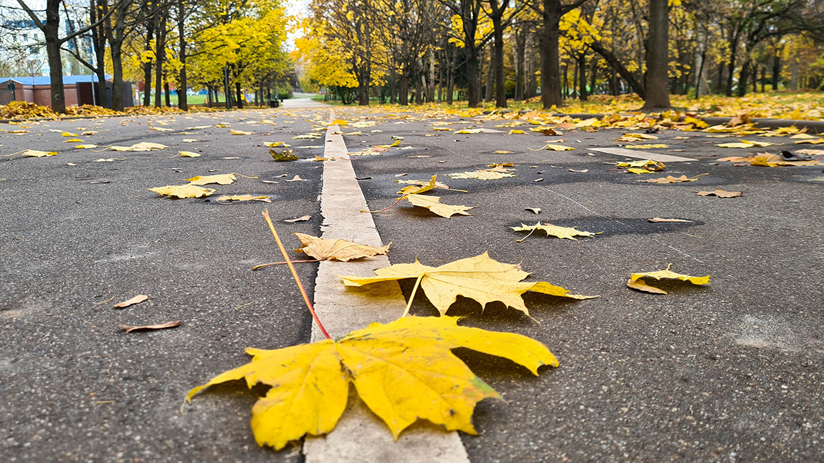 Вильфанд: Температура в Москве 22 сентября побила 147-летний рекорд
