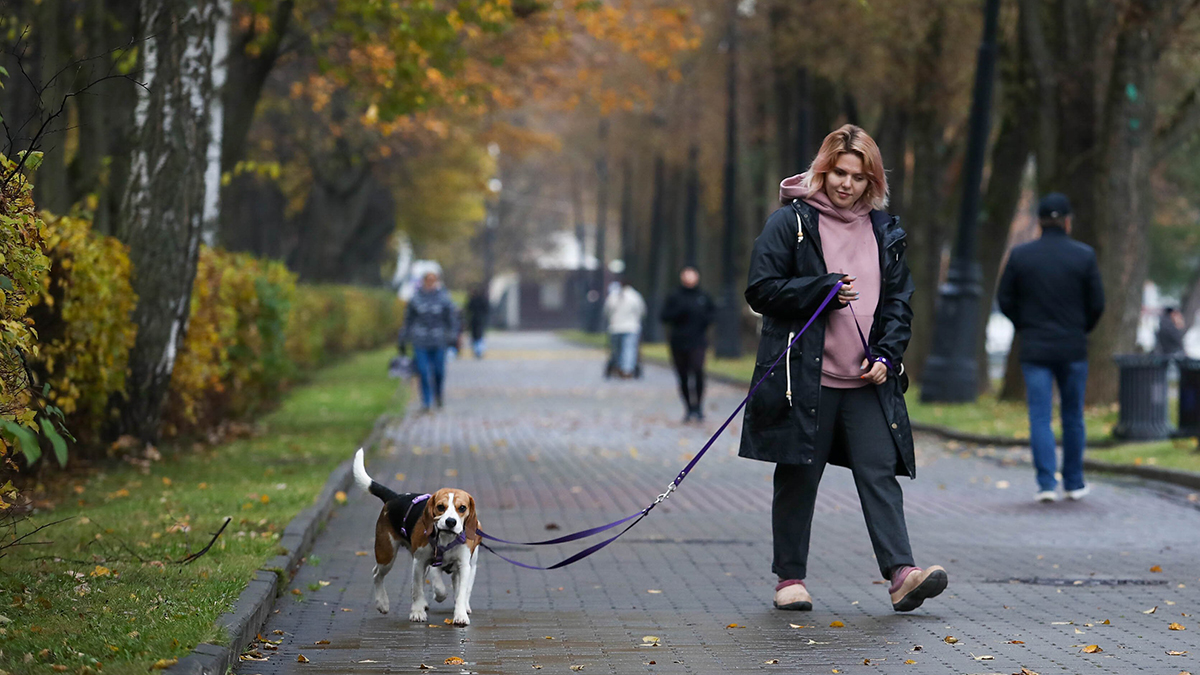 В Москве ожидаются ощутимое похолодание и мокрый снег в конце октября