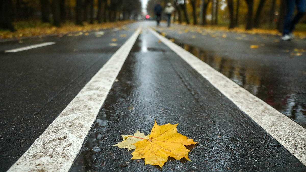 Синоптик Вильфанд рассказал о погоде в Москве в ближайшие дни