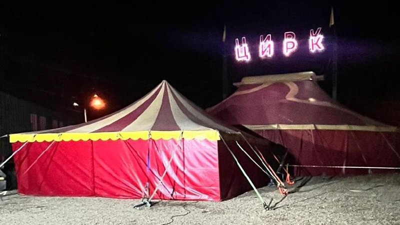 Пантера напала на ребенка в Ангарске: трехлетнего мальчику наложили 20 швов на лицо