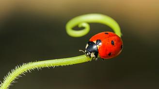 Куда сходить в Москве на выходных 28 и 29 июня