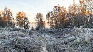 Синоптик Леус рассказал, когда в Подмосковье будут заморозки