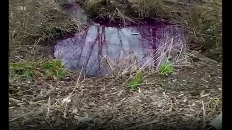 Mash: Жилые дома в Златоусте затопило борщом из-за коммунальной аварии