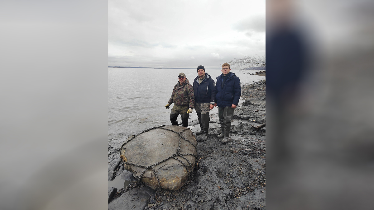 Скелет уникального морского животного нашли на берегах Волги