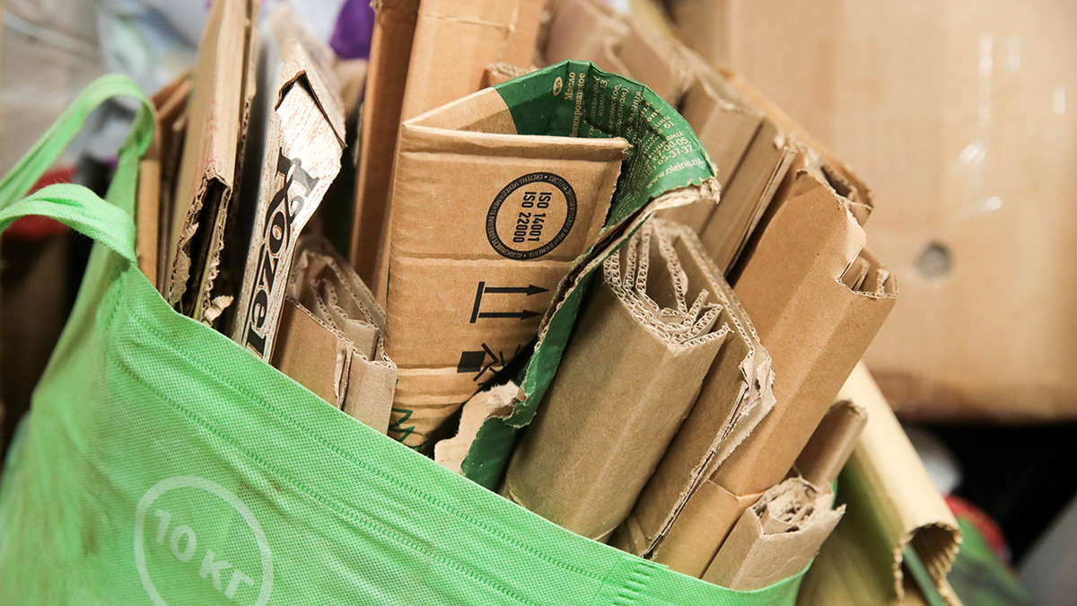 Минприроды предложило в разы увеличить ставки экосбора с 2026 года