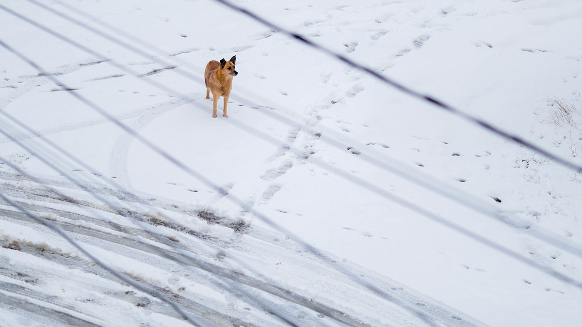 Рекордные почти за 100 лет осадки выпали в Благовещенске