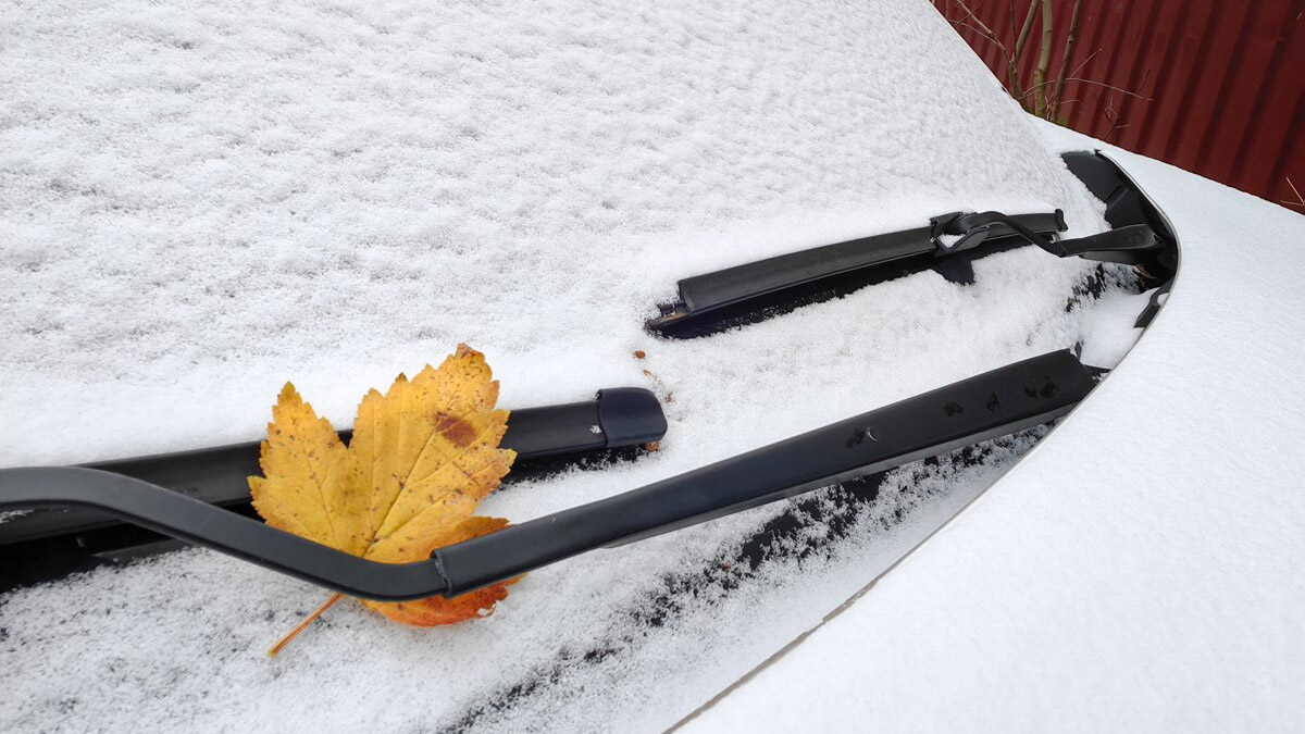 Синоптик Ильин предупредил москвичей о мокром снеге в конце октября