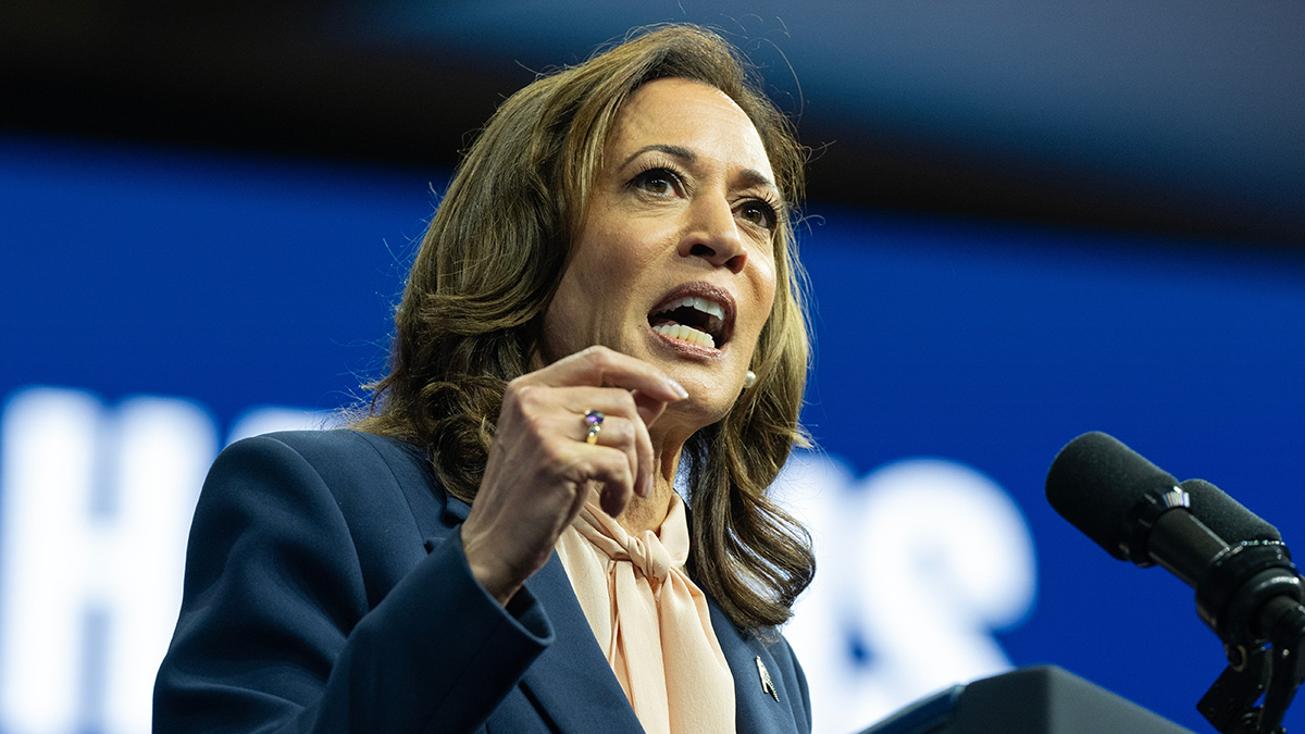 «Выцарапывают друг другу глаза»: демократы ищут виновника в поражении Харрис