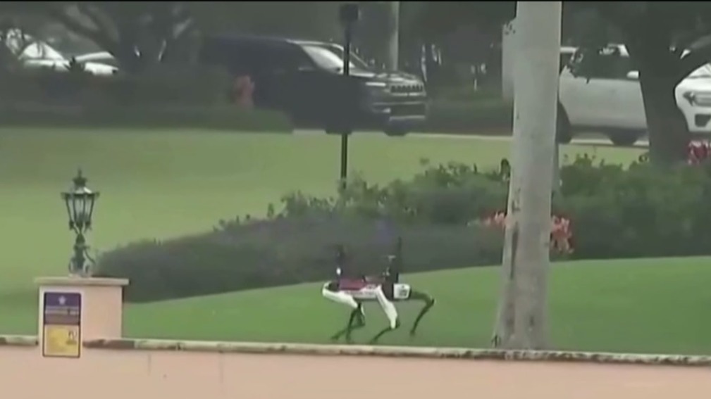 Робопес и катера: охрану резиденции Трампа усилили на фоне его победы на выборах