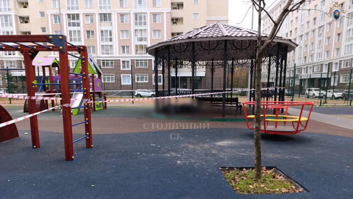 Тело женщины с пробитой головой нашли на площадке в Новой Москве: версии о причинах смерти