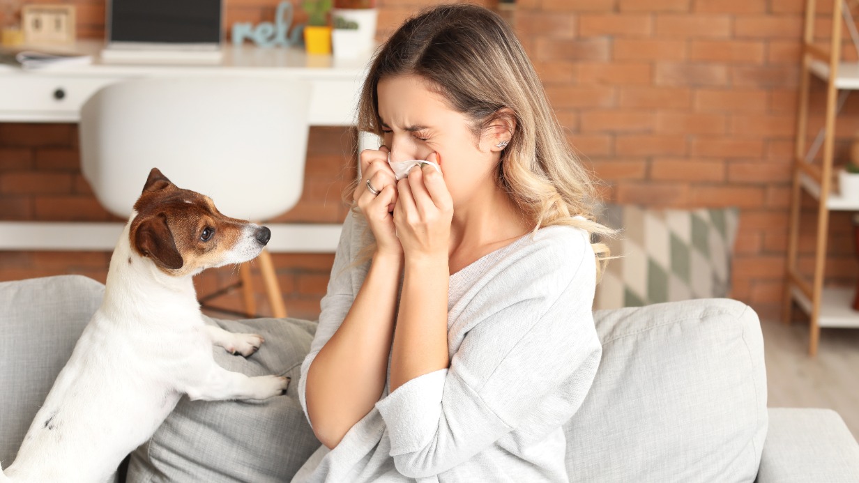 Аллергия на домашних животных: симптомы, лечение, профилактика и купирование приступов