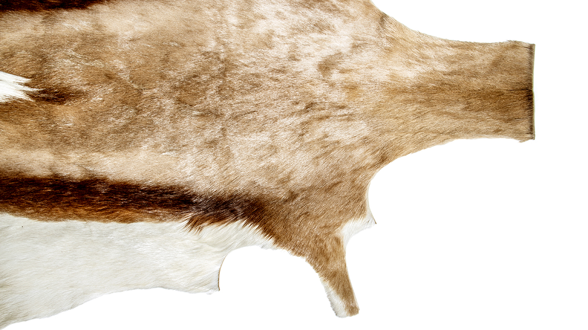 Жители ЯНАО передали оленьи шкуры бойцам СВО