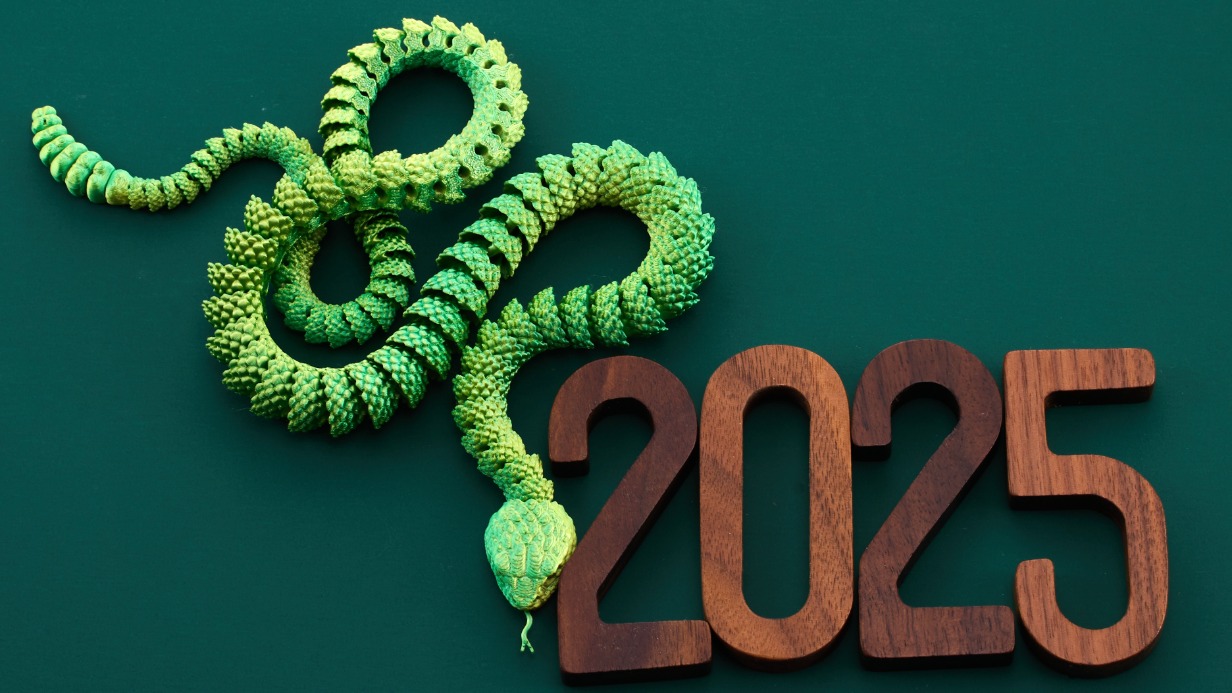    2025       