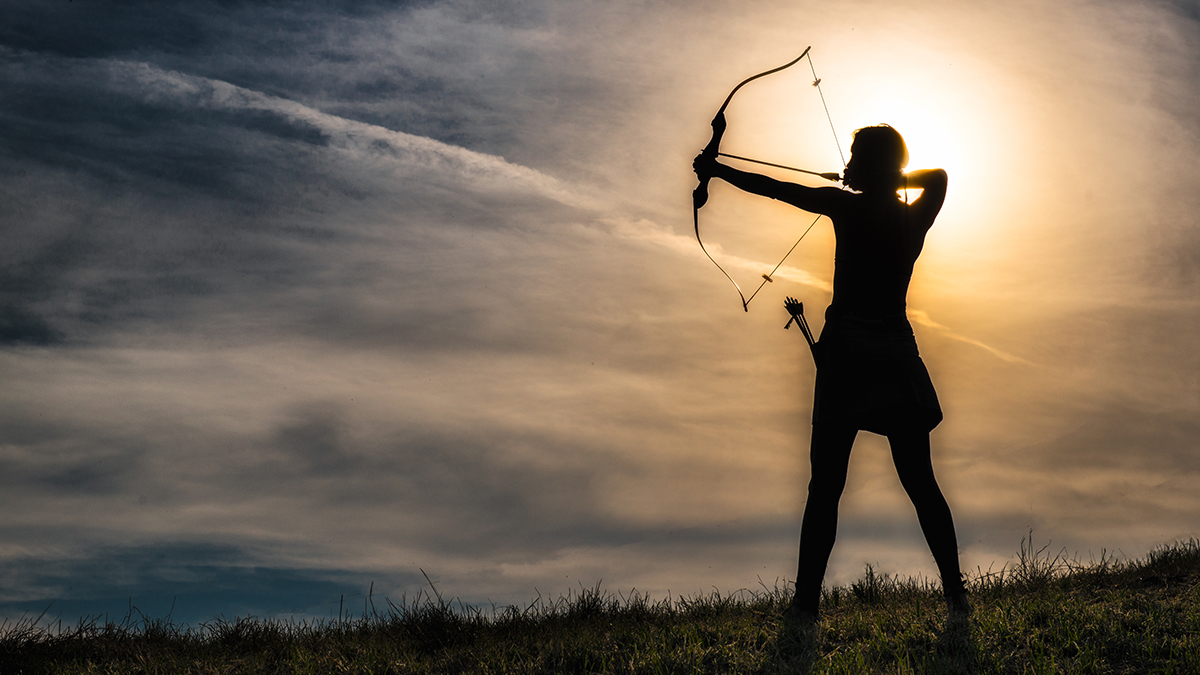 Борец за добро и справедливость: подробная характеристика женщин-Стрельцов