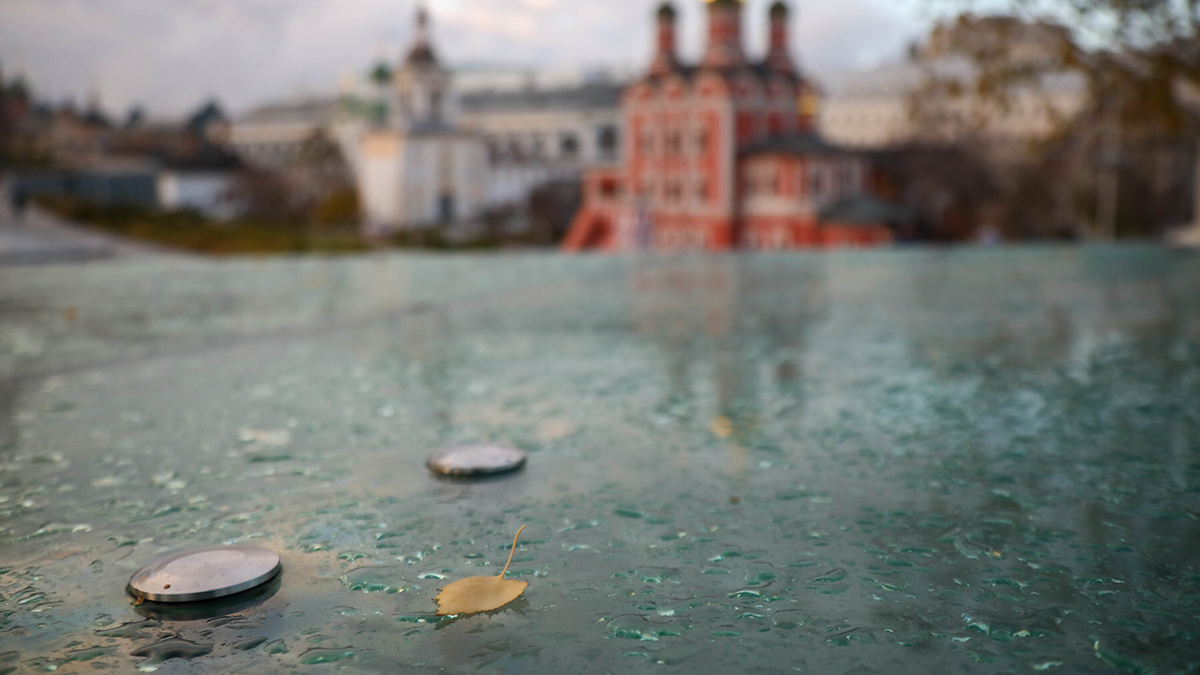 Синоптики предупредили москвичей о заморозках 16 ноября