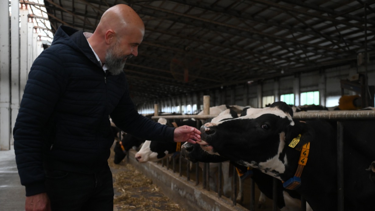Генеральный директор компании по производству молочной продукции Владислав Чебурашкин на семейной ферме