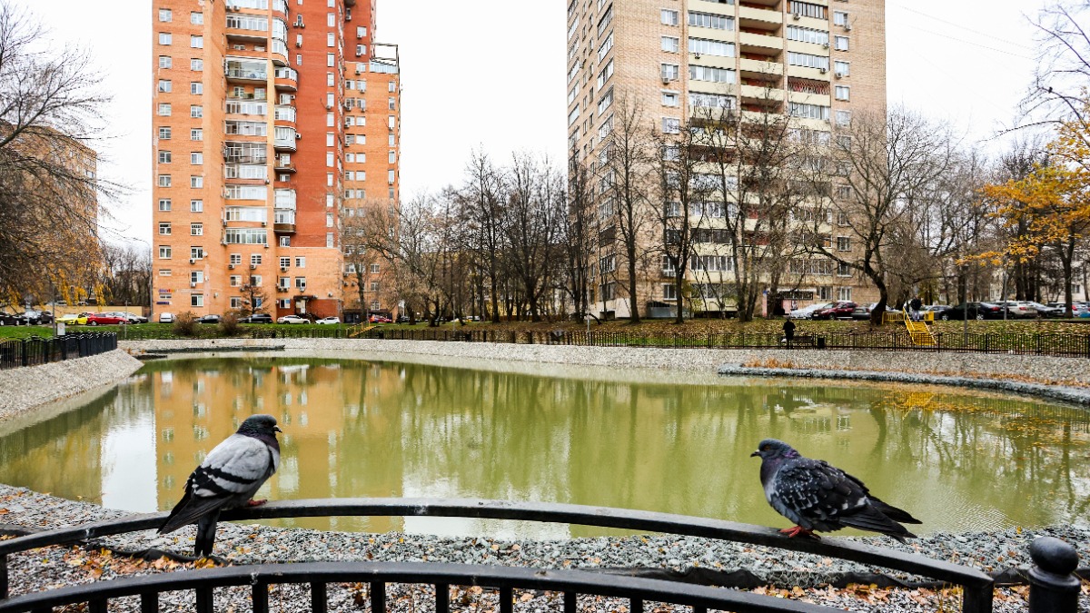 На юго-западе Москвы провели реабилитацию Семеновского пруда