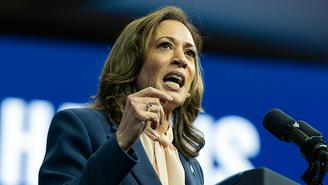 «Выцарапывают друг другу глаза»: демократы ищут виновника в поражении Харрис