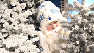 Как реагировать на чрезмерные новогодние запросы детей